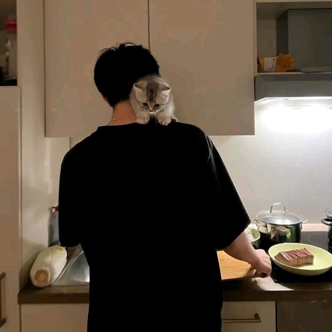 莫宁-