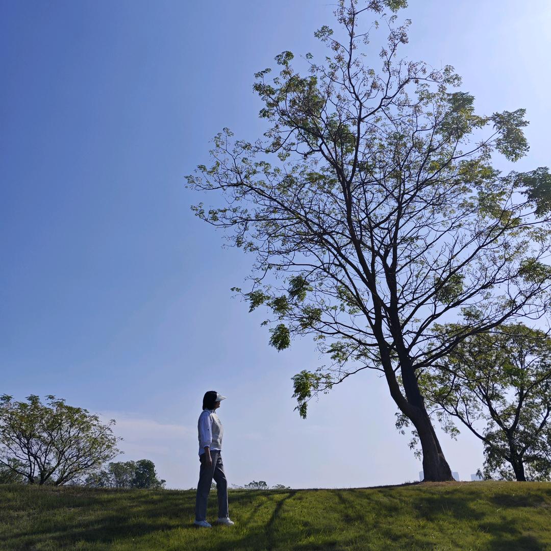 随意