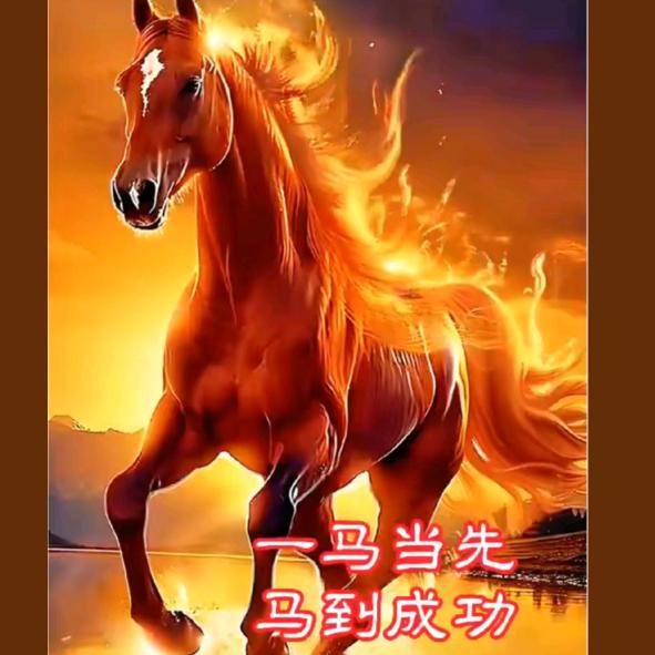 孙夜难眠