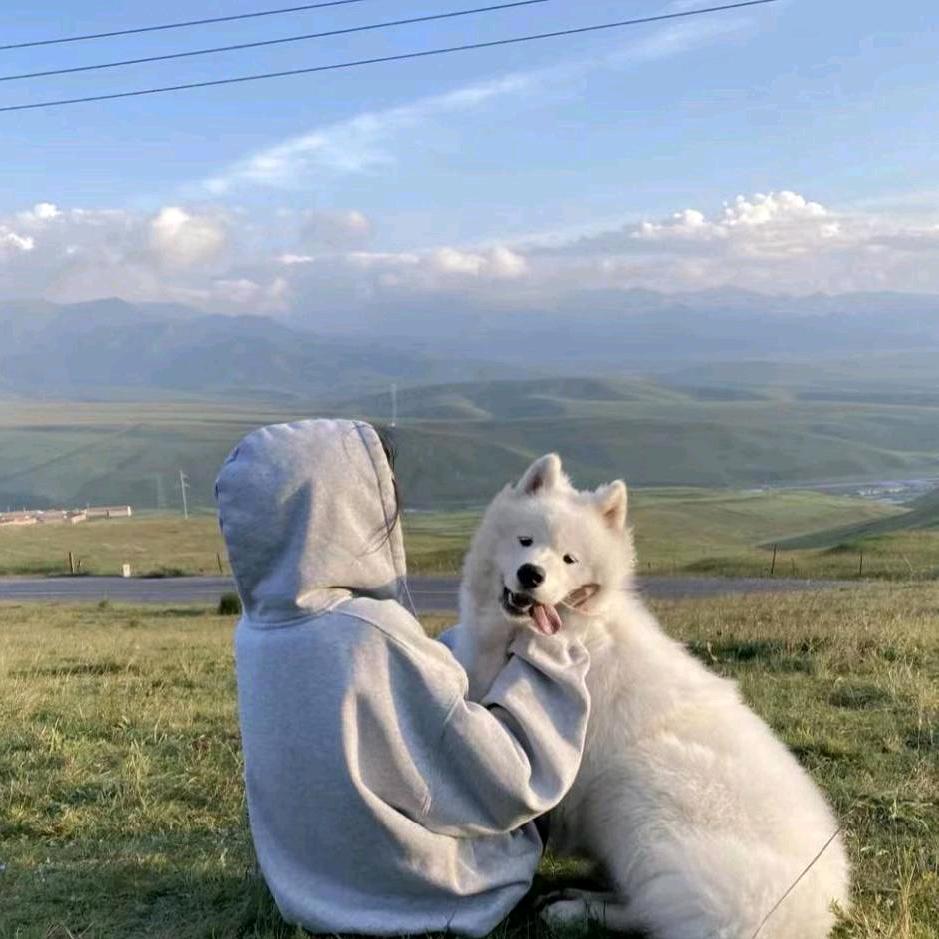 晚鹤🍥