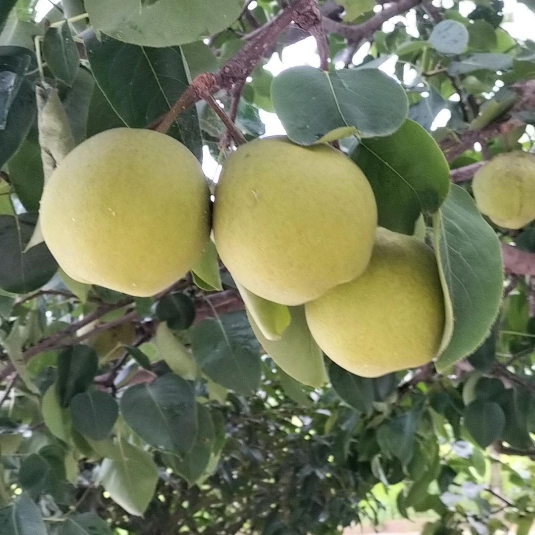 笑对生活面对人生