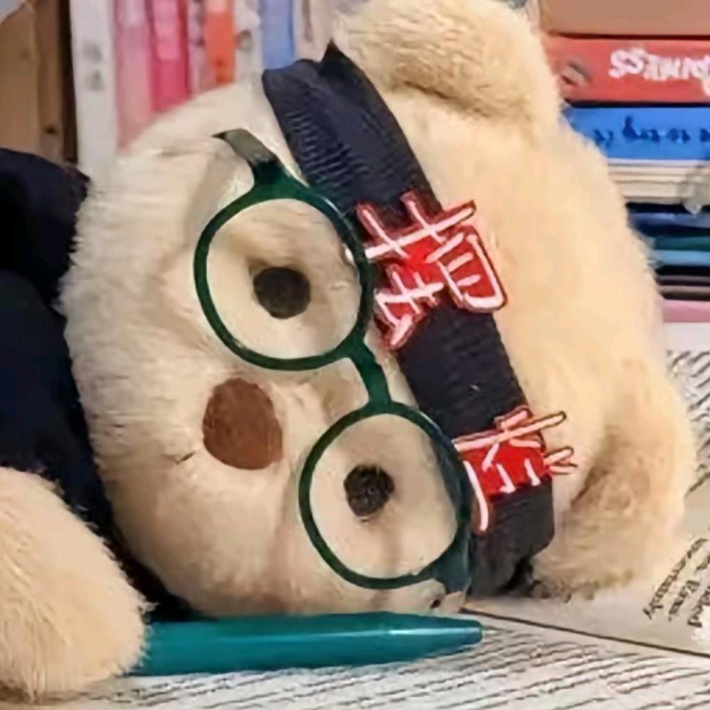 摆烂🌛要努力