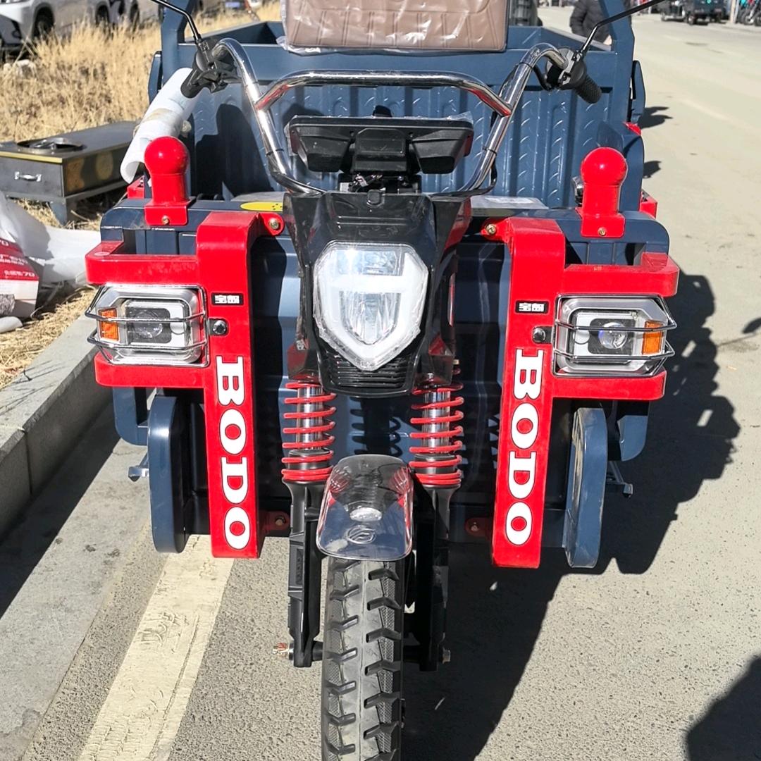 山南市鲁琼市场  欧派电动   绿彭电动