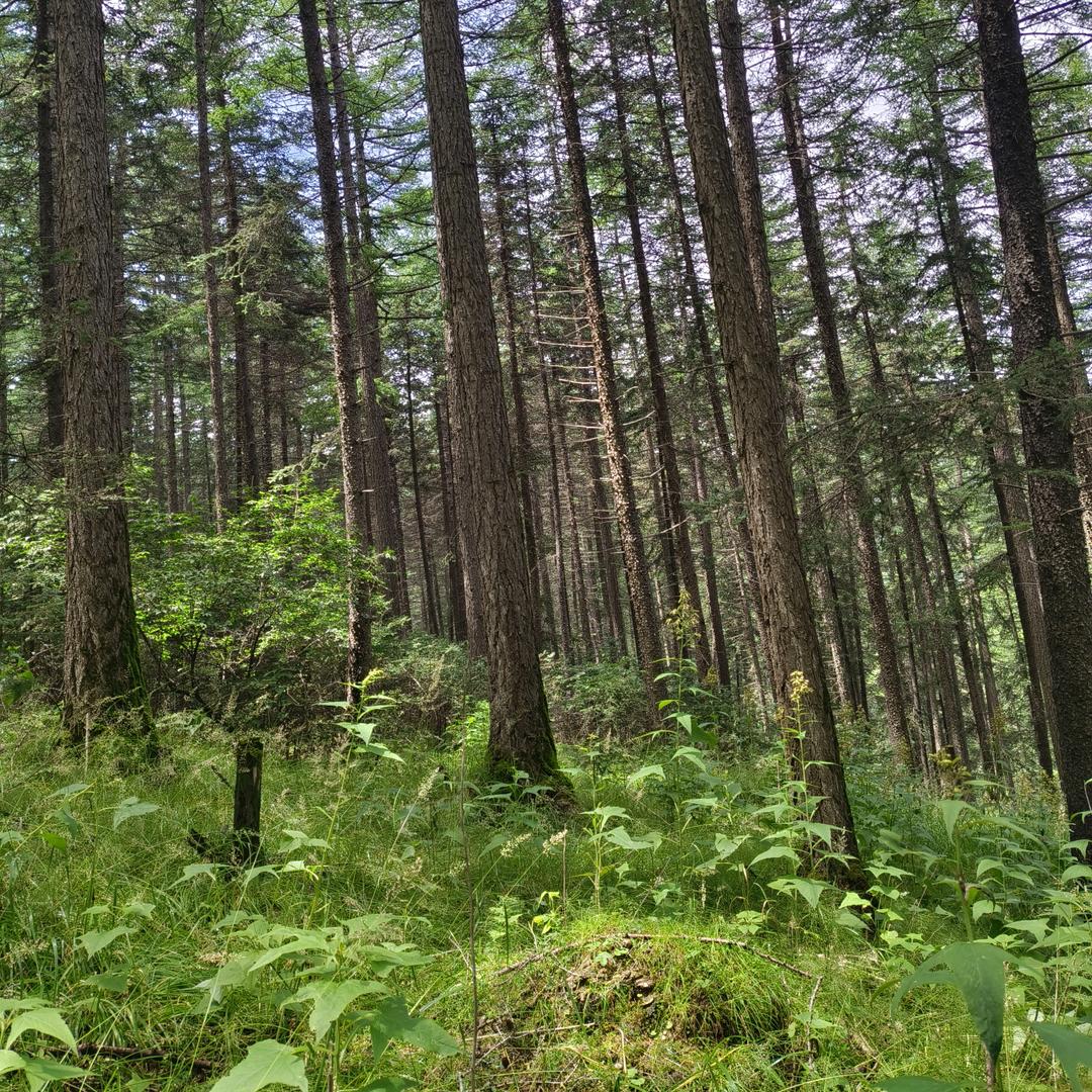80后的人到底好不好