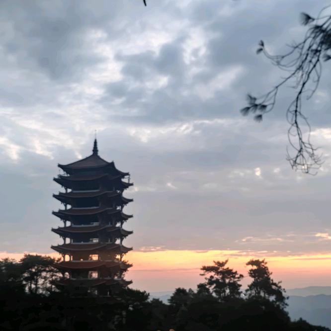 小海豚*