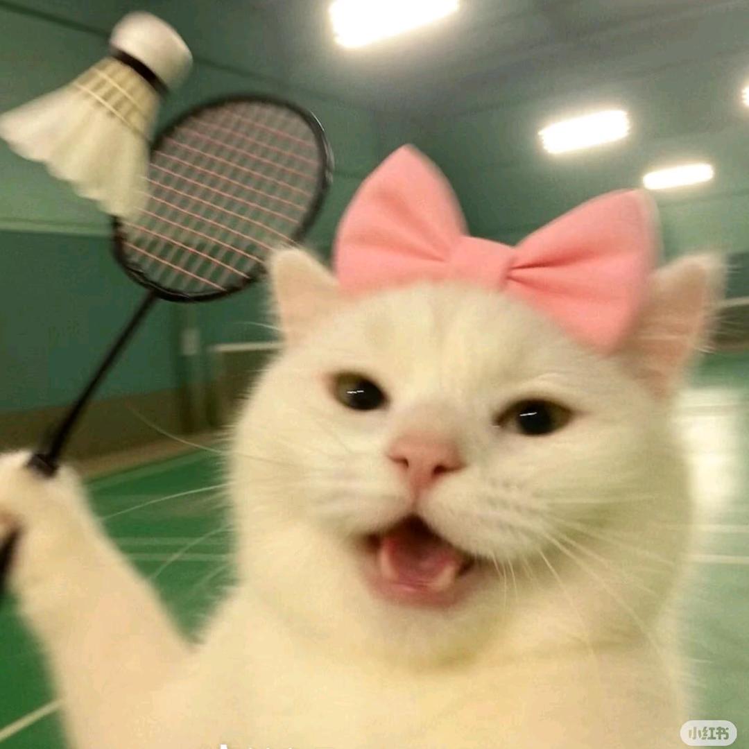 永州百业街方寸女装-葡萄