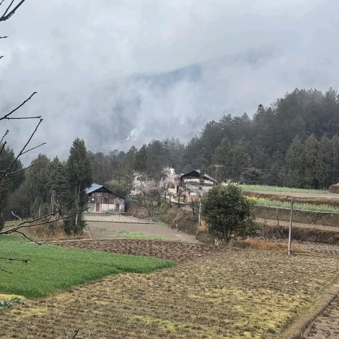 甜蜜山村小英子