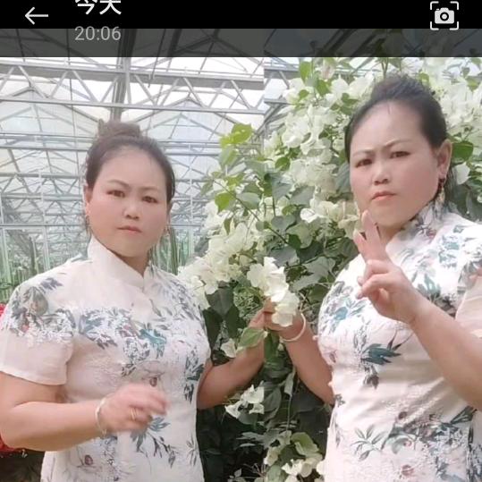 小唐姐