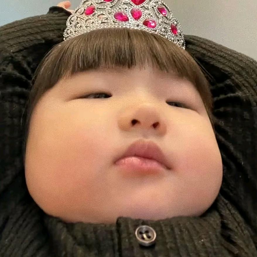 一只喵