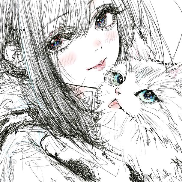 泪