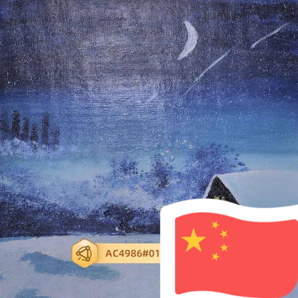 非职业选手