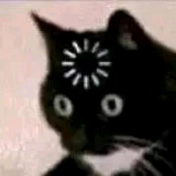 八百标兵进被窝