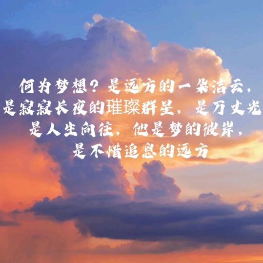 壹玖捌陆壹贰壹零（86🐯）