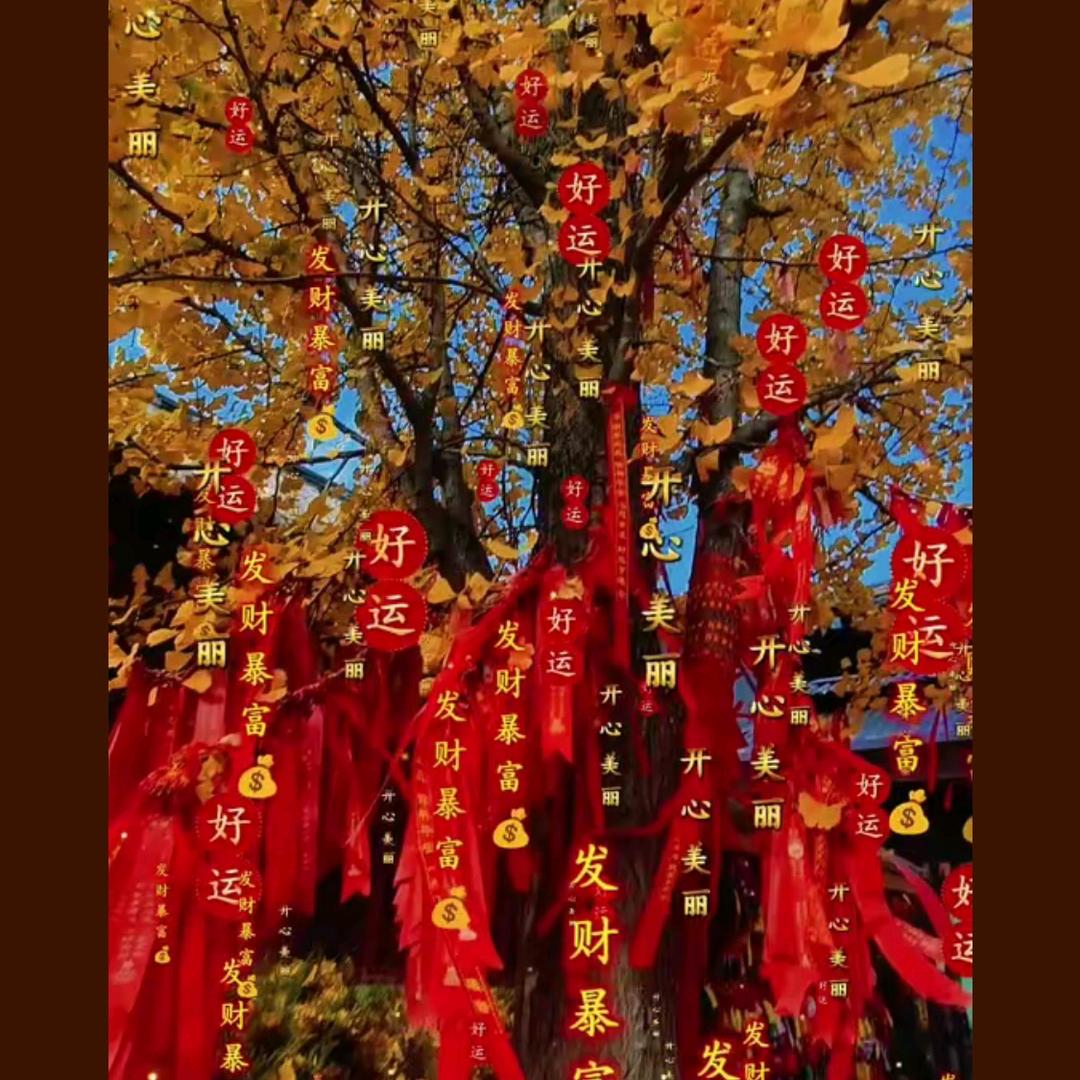 好运爆棚