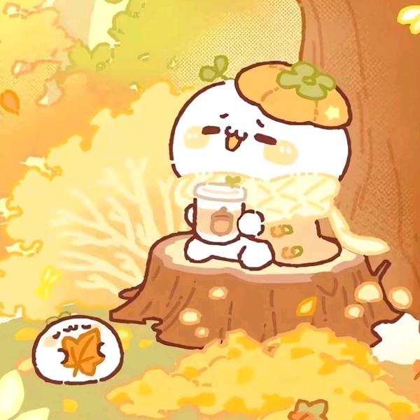 枫树映影