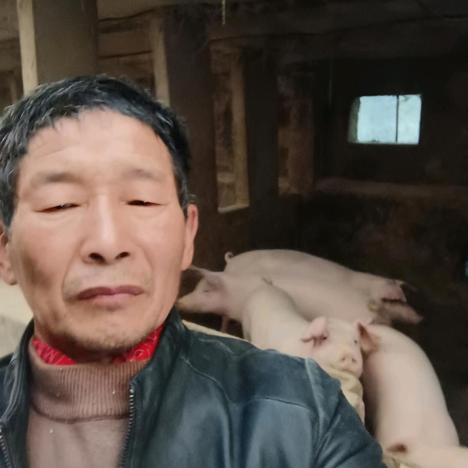 梦幻好物精选小铺DkP