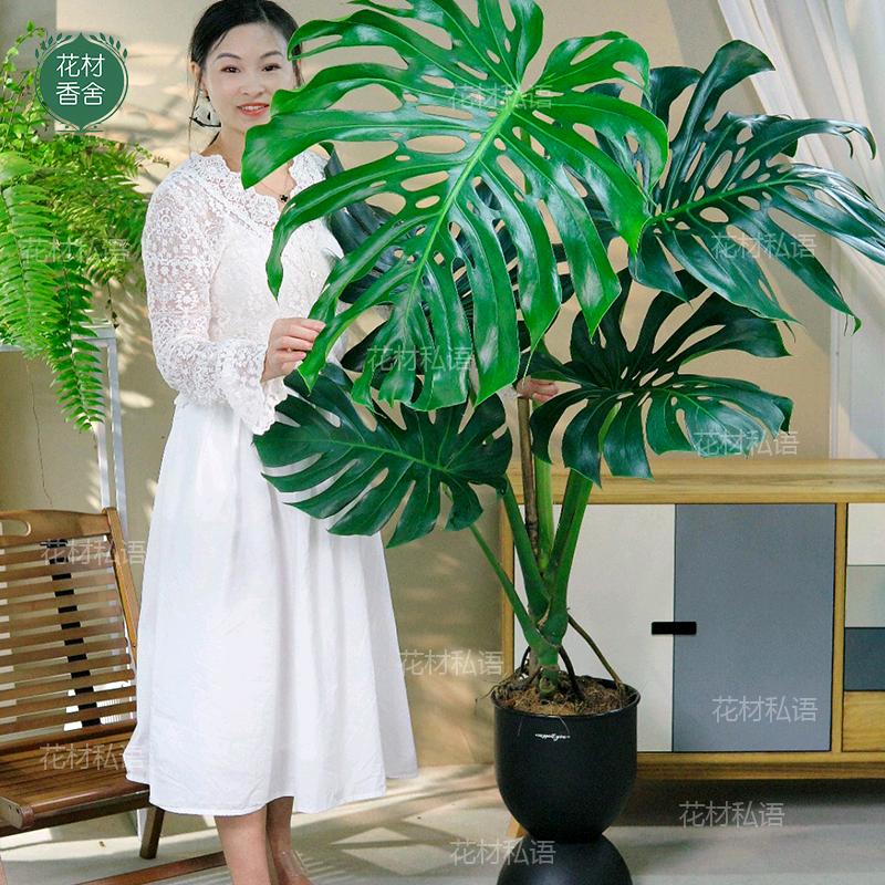 flower花材私语