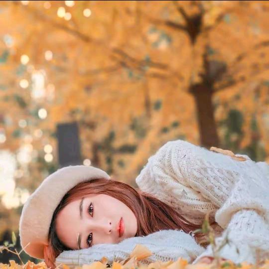 贺列百货