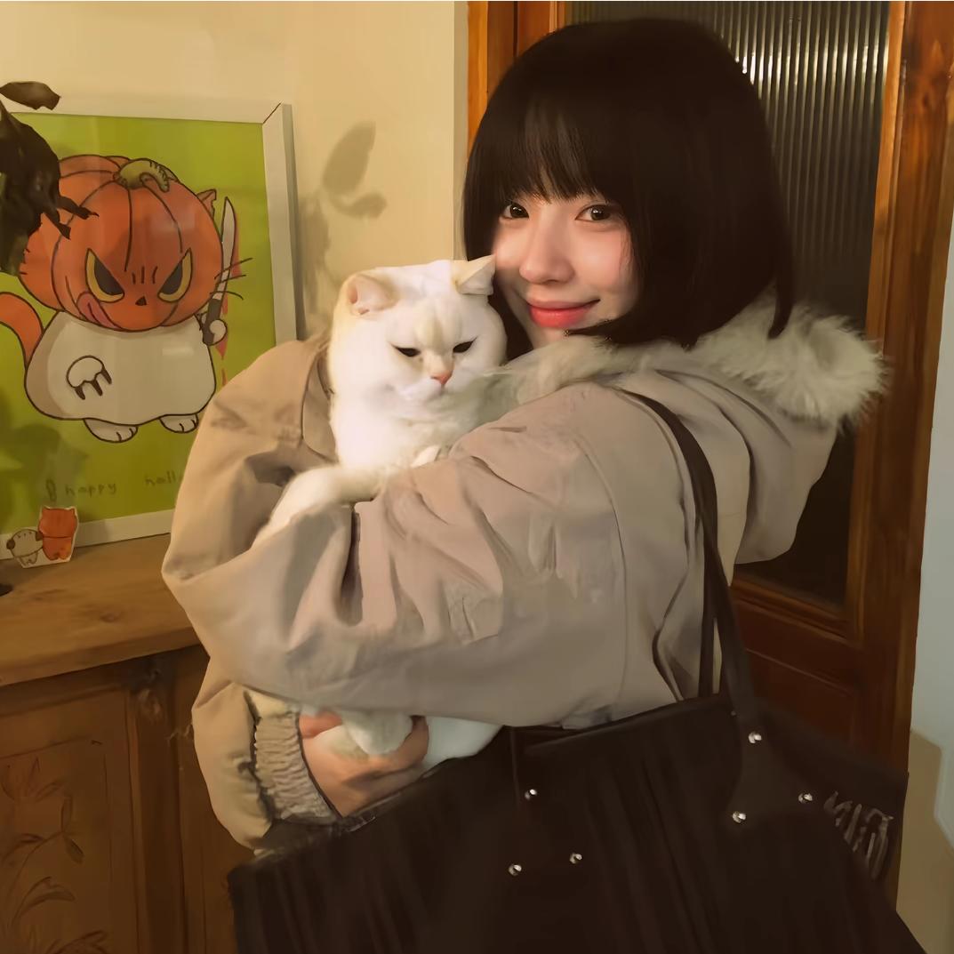 飞飞鱼.