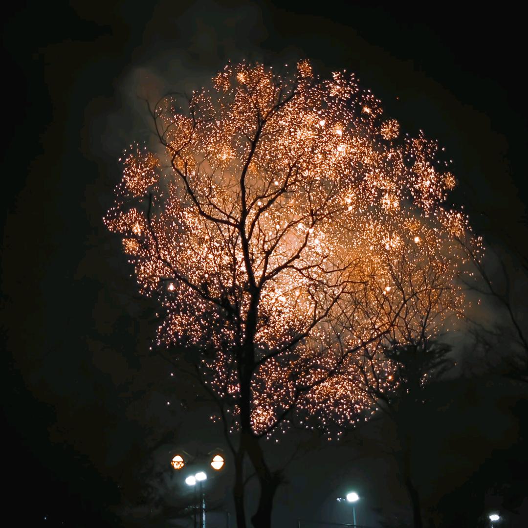 朝花