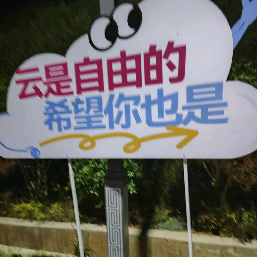刘同学的V|Og