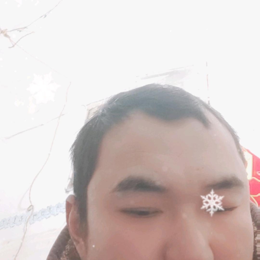 杜雨