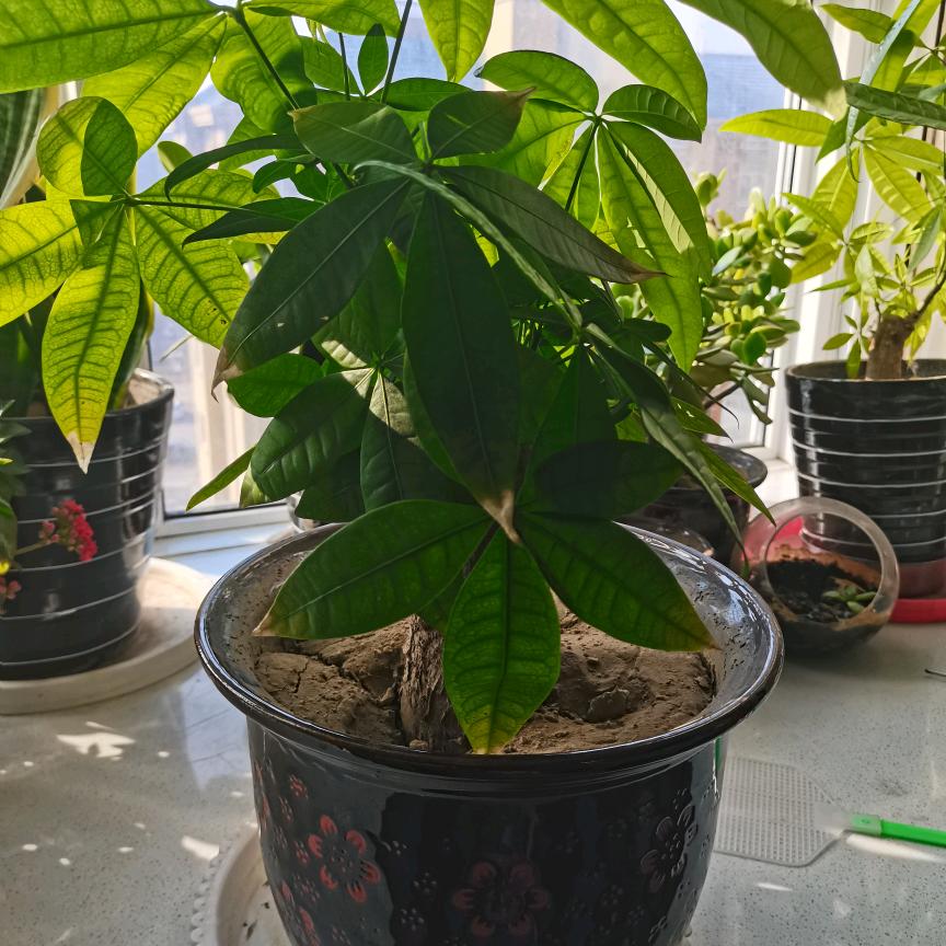 好事多磨