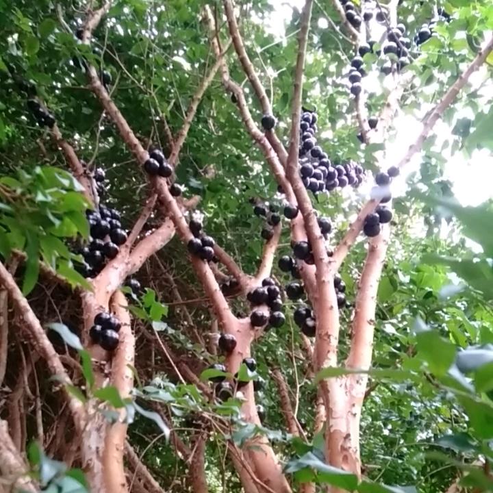 有你陪我才快乐