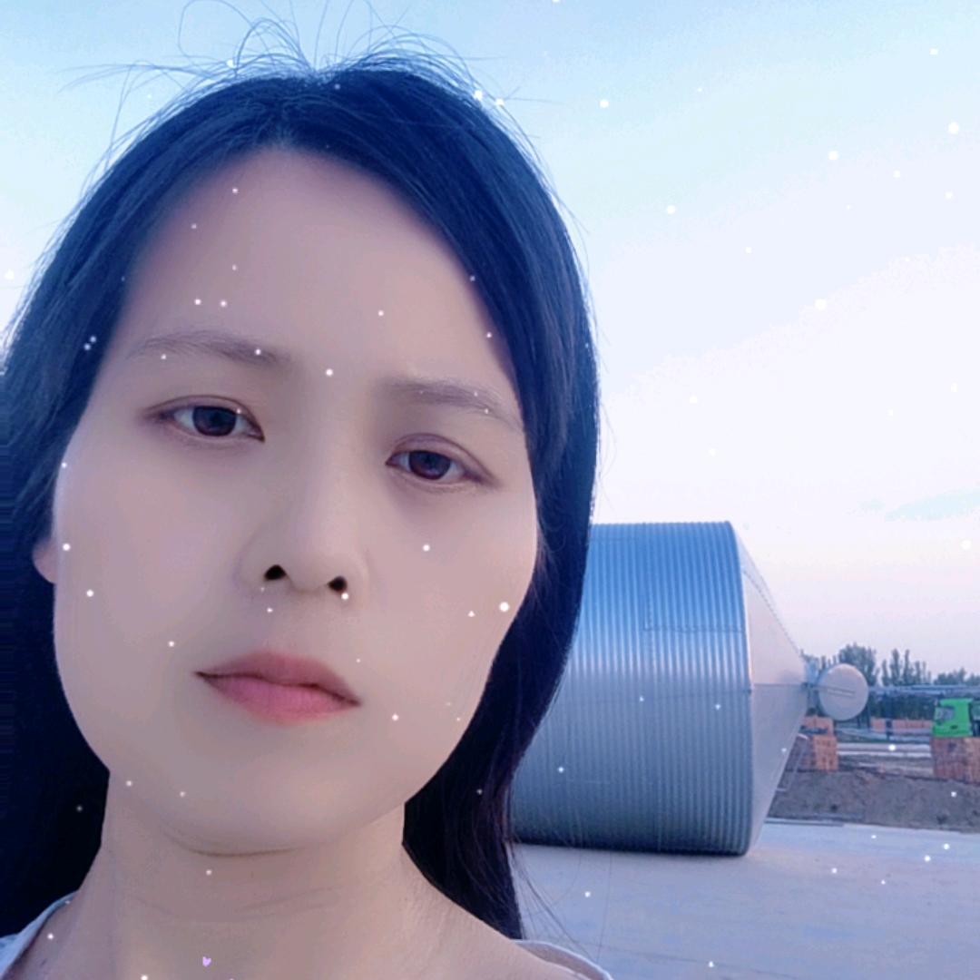 顺航机械料塔料线