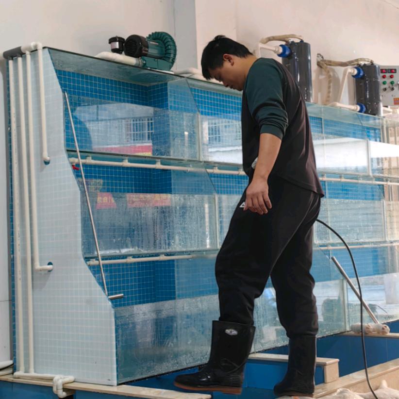 馒馒来海鲜店板娘