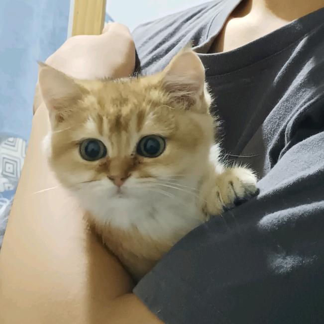 筑梦