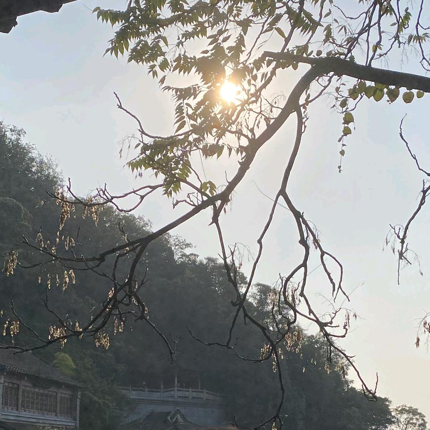 七安