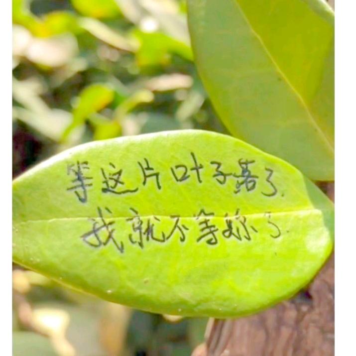 明明