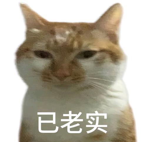 鱼庵在睡觉