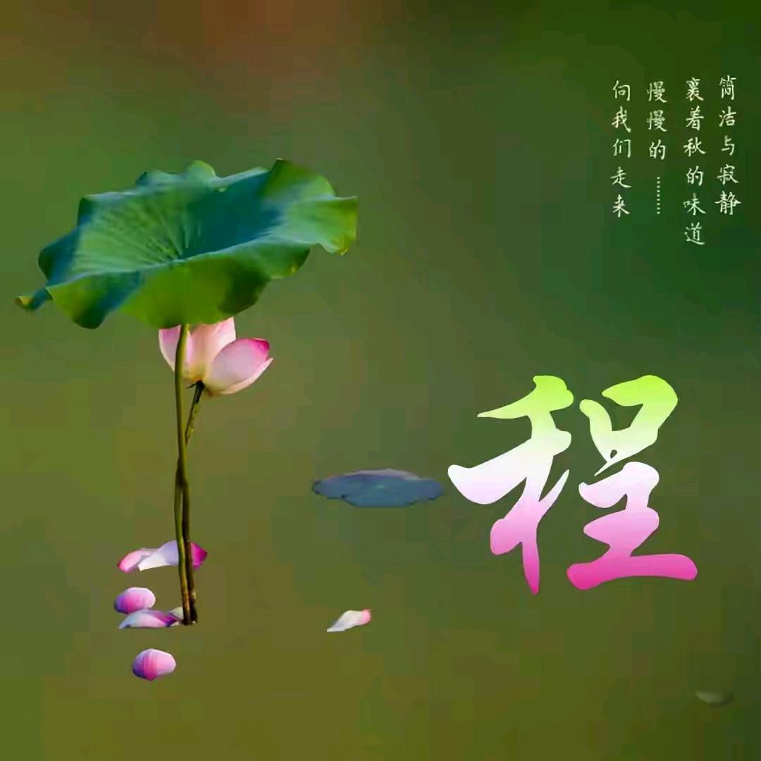 静心  ：：等待