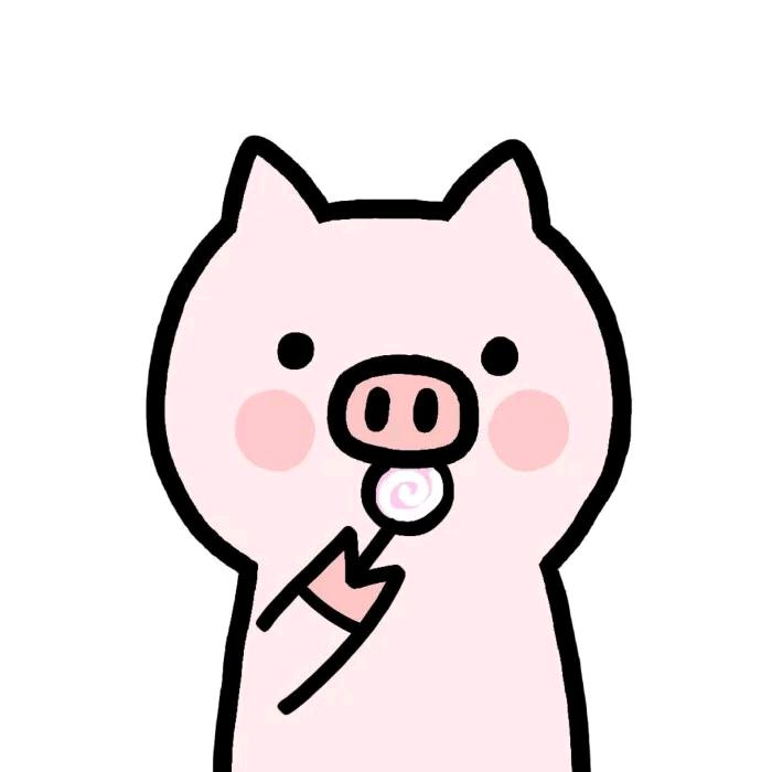 快乐猪🐷