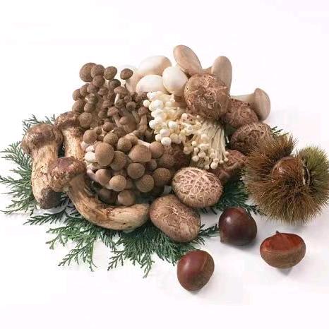 裙带菜虾皮汤的头像