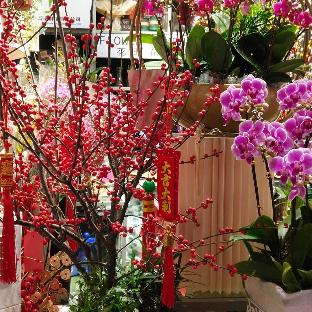 黄杰，近水楼台先得月3135478307