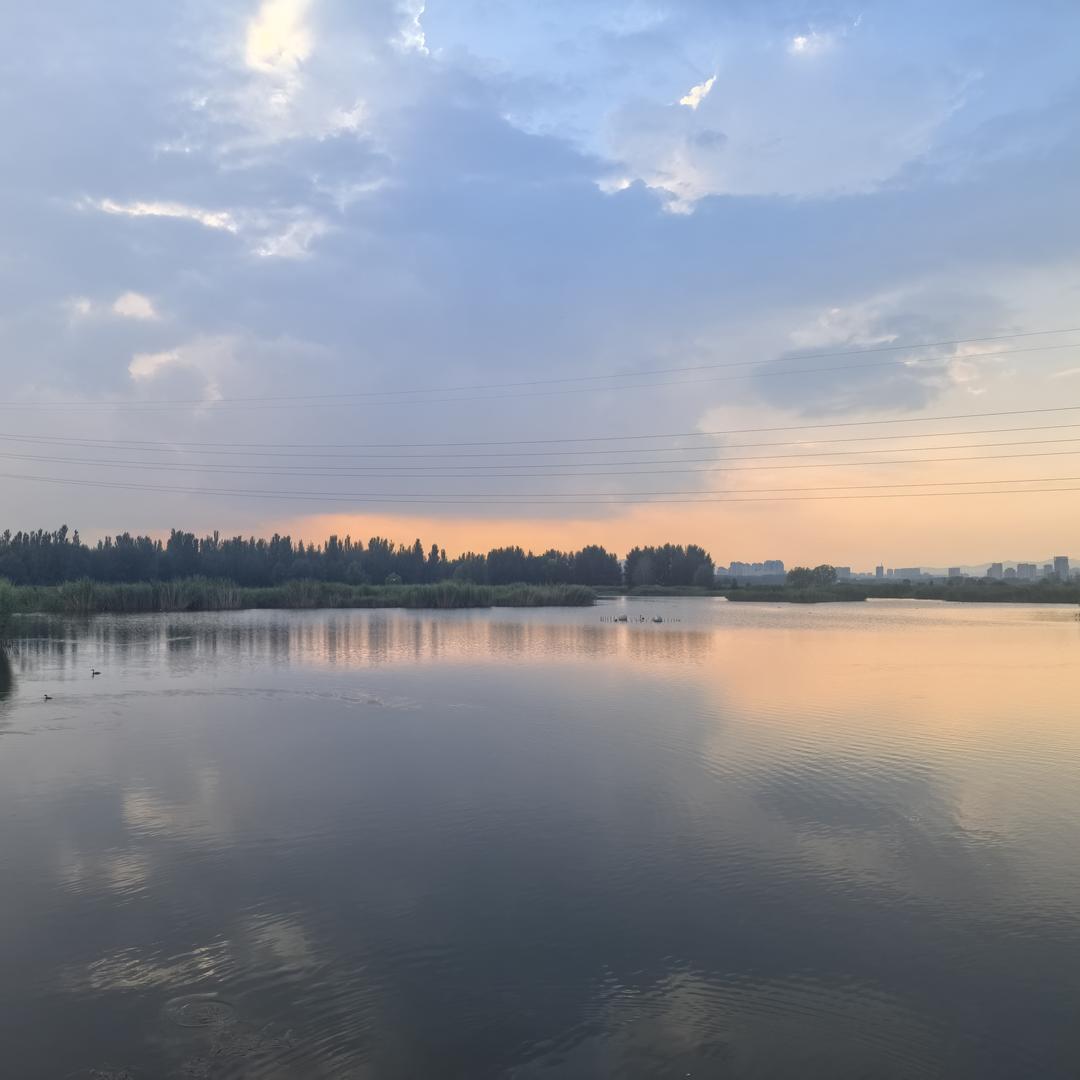 白日做梦