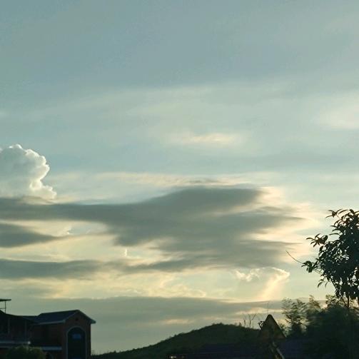 梦里能有几分真