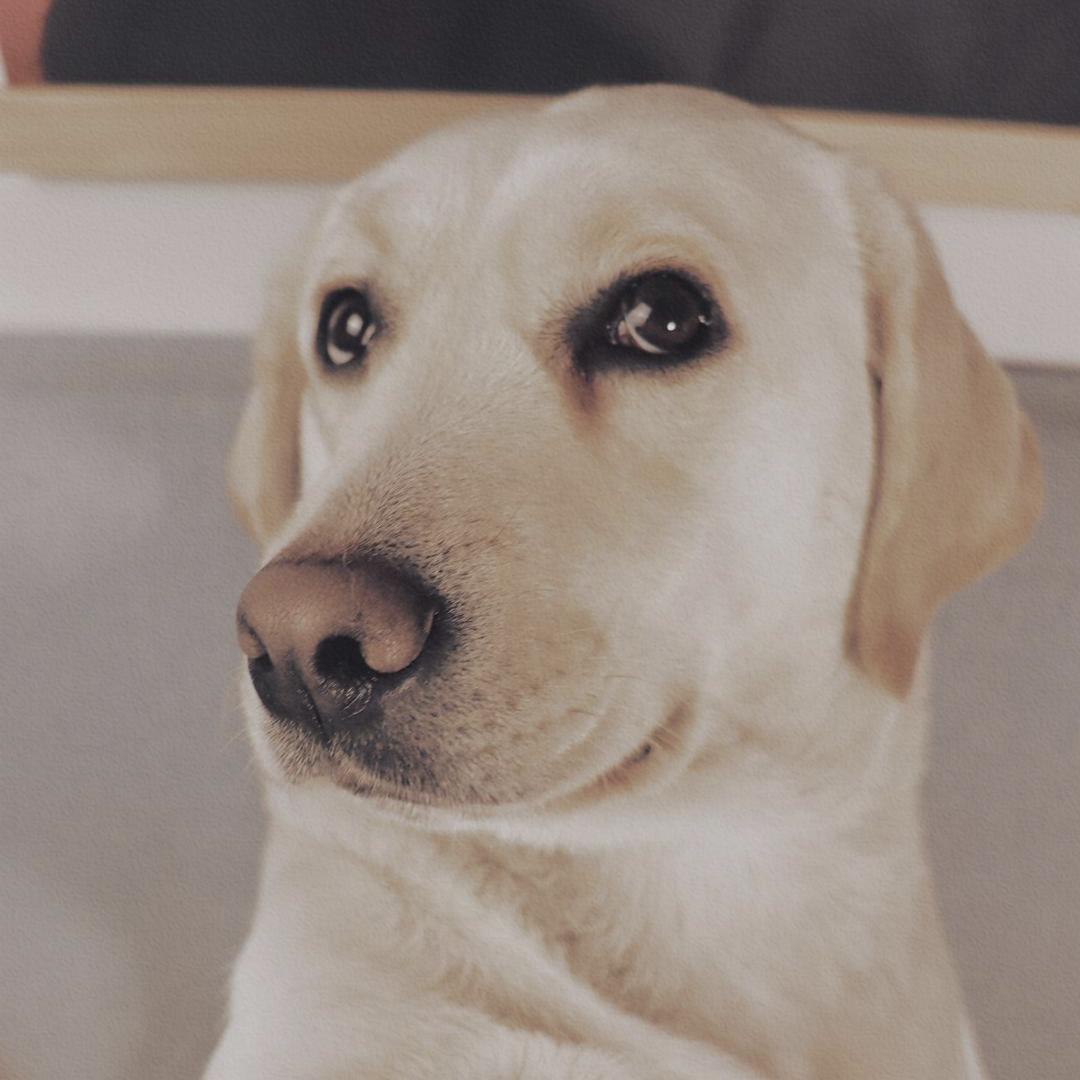 豆豆の分手日志