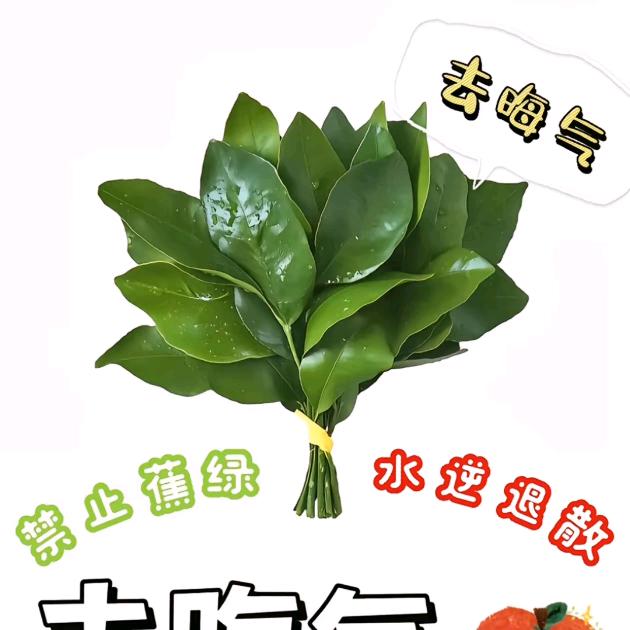 桂芬