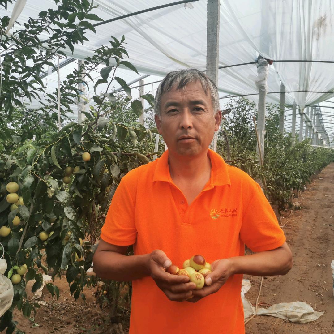 老胡大荔冬枣鲜果