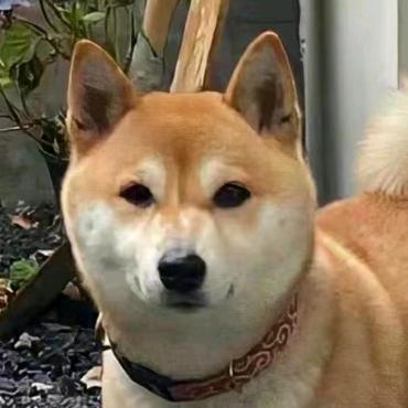 陶醉⁻（抽象版）