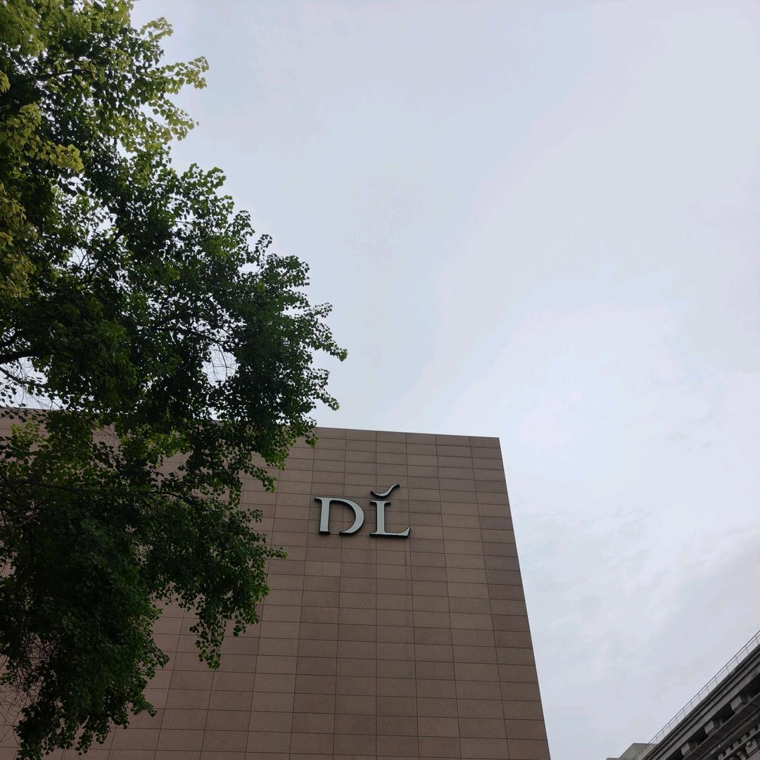 DL跑腿_小岩