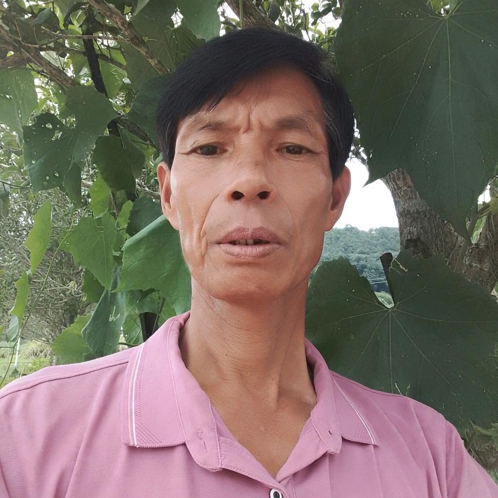 养蜂邓伯