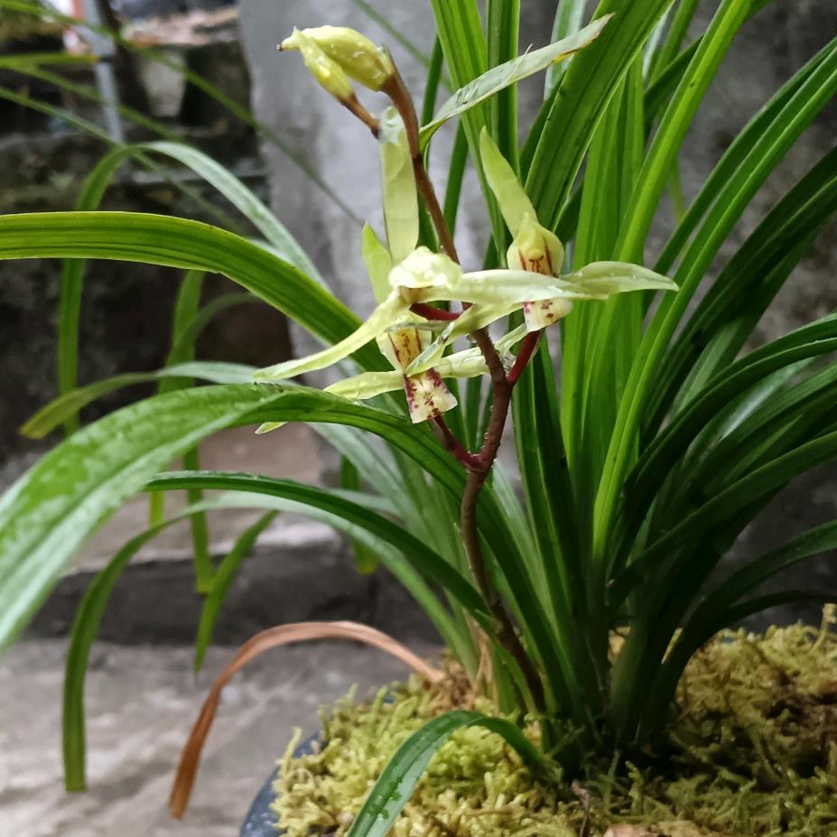 花点时间