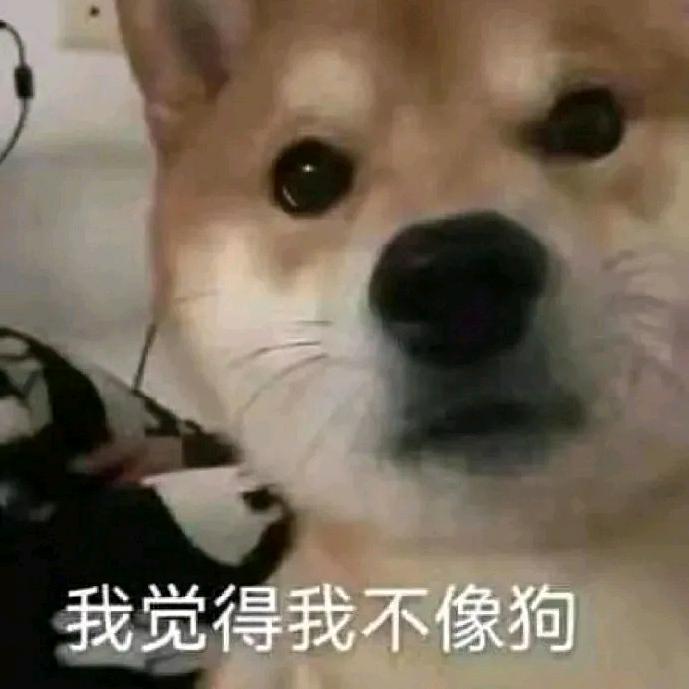 曾有佳人惑少年，