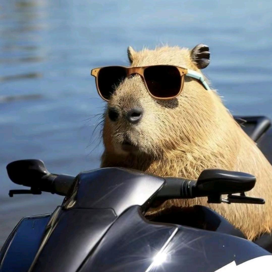 多米电竞（三角洲行动）