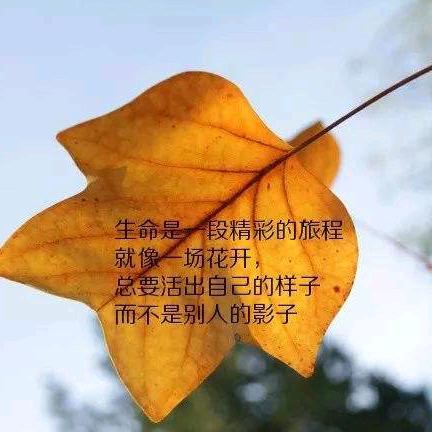 久龄后·壹美汇美容中心(晶苑花园店)